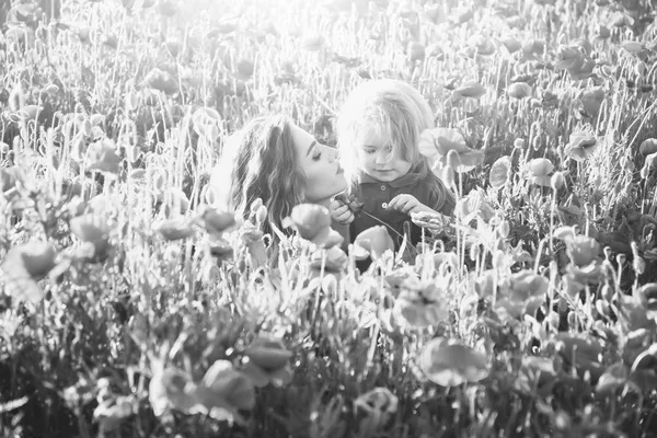 Anyák napja, a lány és a kisfiú a mák területén — Stock Fotó