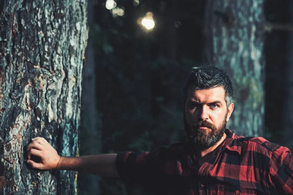 Image of young bearded man in forest. Looking at camera — Stock Photo, Image