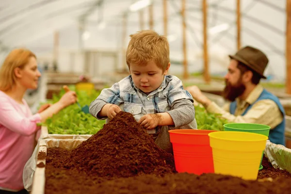 environmental awareness. awareness of environment. environmental awareness concept. environmental awareness with family work in greenhouse.