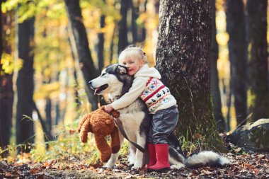 Küçük kız kucaklayan husky köpek sonbahar park