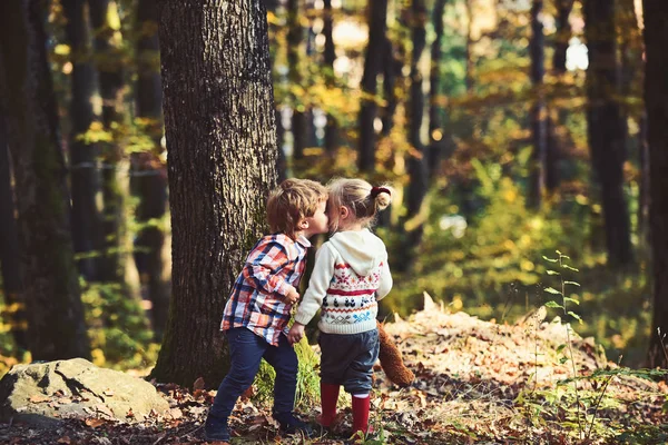 A kislány és a kisfiú csók ősszel erdőben — Stock Fotó