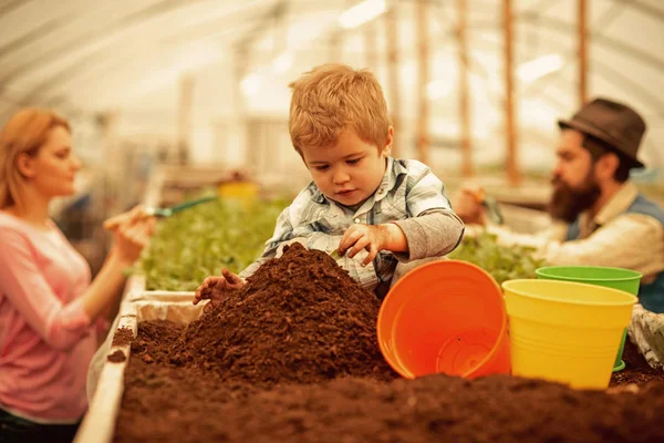 Little farmer. little farmer work with soil. little farmer in greenhouse. little farmer child planting flowers. — ストック写真