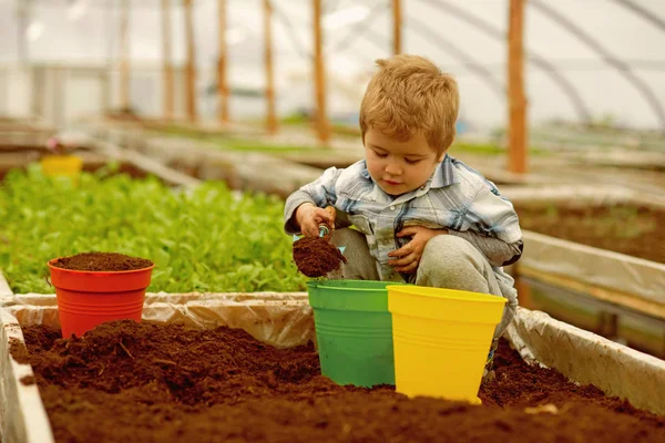 Gården industrin. liten pojke arbeta på gården industrin. gård industri koncept. gård industri odling. arbeta med växter. — Stockfoto