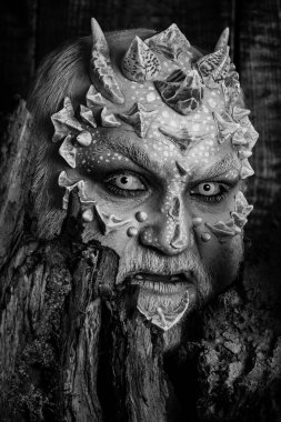 Druid arkasında siyah arka plan üzerine eski kabuğu