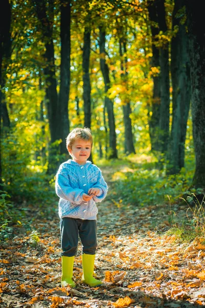 Möt höstsäsongen. Forest School är utomhus utbildning leveransmodell där studenterna besöker naturliga utrymmen. Pojke i gummistövlar promenader i skogen. Söt turist koncept. Barn som går i höst skogen — Stockfoto