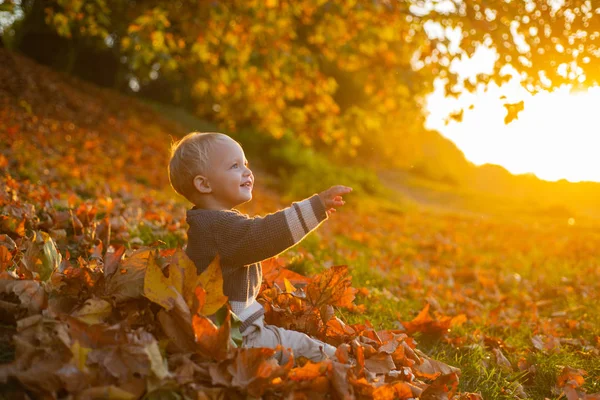 Warm moments of autumn. Toddler boy blue eyes enjoy autumn. Small baby toddler on sunny autumn day. Warmth and coziness. Happy childhood. Sweet childhood memories. Child autumn leaves background
