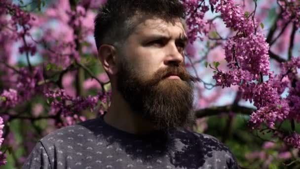 Young handsome bearded man with emotional face near bush lilac flower, closeup. Emotions and facial expxression. Spring man.Spring nature and vacation. Hipster enjoy scent of flowers in spring. — 비디오