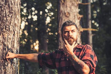 Düşünceli adam ağacına sonraki ayakta. Meraklı oduncu çenesini tutarak. Doğada dolaşıp hipster