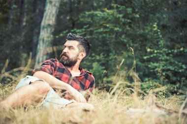 Park veya orman çim yatan adam. Ormanda kamp. Sakallı adam tarafına bakarak blues gözlü. Yaz eğlence etkinlik kavramı