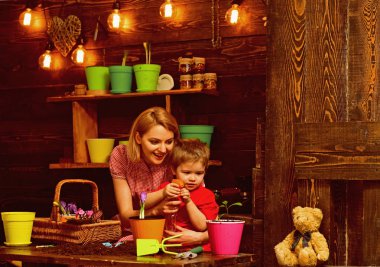 Büyüme kavramı. Küçük çocuk ve genç bitki su ile püskürtme kadın büyümeye, büyüme. Büyüme ve gelişme. Büyüme sezon