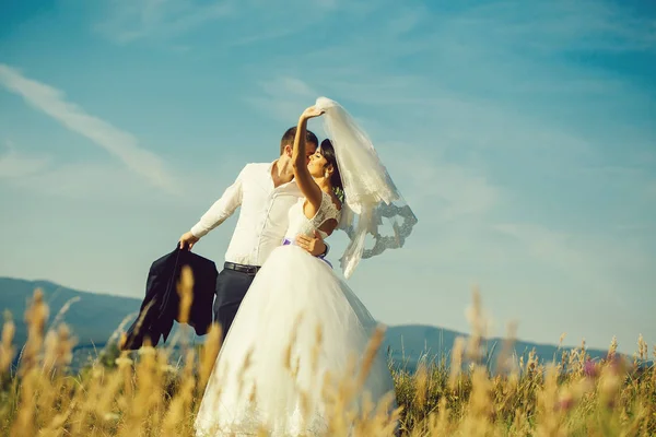 Campo estivo sposo e sposa — Foto Stock