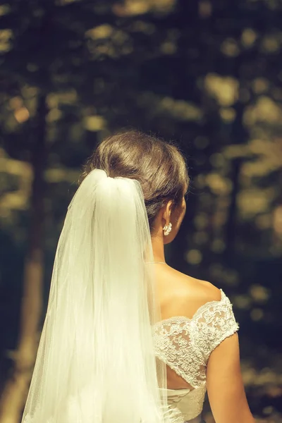 Penteado de noiva bonita em véu — Fotografia de Stock