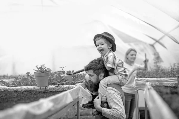 Kind mit Fedora-Hut pflanzt Blume im Gewächshaus. Brutaler Mann mit langem Bart und Schnurrbart, der einen netten Jungen auf seinen Schultern hält. Konzept der glücklichen Kindheit — Stockfoto