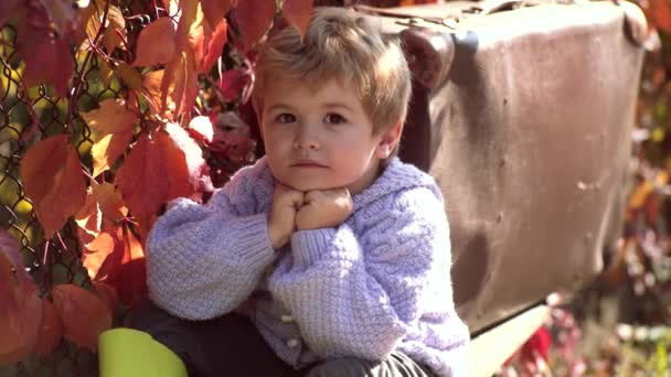 Niño soleado disfrutar del hermoso clima. Feliz infancia. El niño se sienta en el parque y sueña. Disfruta del hermoso clima otoñal . — Vídeo de stock