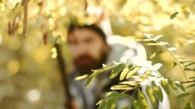 Lazer görüşlü Avcı Hedef. Harmanlama görüşü. Avcı tüfek ile nişan.