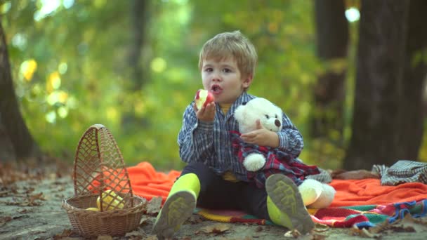 Šťastné děti podzim. Hrál jsem v podzimním lese. Malý chlapec v podzimní zahradě. Krásné podzimní dítě na pozadí podzimní přírody. — Stock video