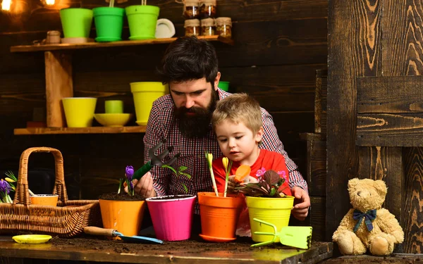 ひげを生やした男と小さな男の子の子供は自然を愛する。父と息子父の日春の花と幸せな庭師。家族の日温室 効果。フラワーケアの水やり。土壌肥料。生態工学 — ストック写真