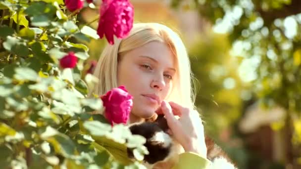 Hermosa mujer joven con gato lindo descansando al aire libre. Emociones humanas positivas, expresión facial. Personas y animales enamorados . — Vídeo de stock