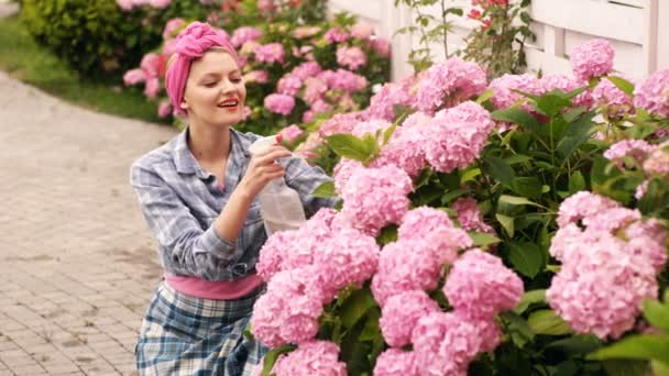 Το κορίτσι ψεκάζει λουλούδια. Ορτανσία. Πορτρέτο της ευτυχισμένη νεαρή γυναίκα κηπουρός ψεκασμού νερού σε φυτά. Ιδέα του χόμπι. Η νεαρή γυναίκα ποτίζει λουλούδια από το μπουκάλι ψεκασμού στον κήπο. Ανθοπωλεία κηπουρικής. — Αρχείο Βίντεο