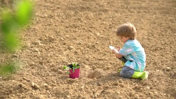 Eco Resort Actividades. Campesino ecológico. Feliz granjero plantando en el campo. Edad del niño. Agricultura y cultivo agrícola. Actividades de verano para niños. Herramientas de jardín. Niños activos . — Vídeo de stock