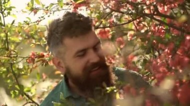 Uyum kavramı. Arka planda kırmızı çiçekler ağacı ile şık saç kesimi ile sakallı adam. Çiçeklerin yanında gülümseyen yüzünde sakallı ve bıyıklı adam. Hipster kırmızı ağacın dalları yakınında yeşil gömlek.