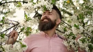 Kiraz ağacının yanında sakallı bir adam. Hipster kiraz çiçeğini koklar. Yumuşak beyaz çiçeklerin yanında gülümseyen yüzünde sakallı ve bıyıklı adam. Yaz ruh hali kavramı. Yaz çiçekleri konsepti.