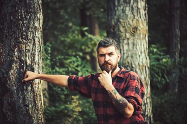 Düşünceli adam ormanda dolaşıp kolundaki dövme ile oduncu gömlekli sakallı. Doğa, çevre kavramı harikası keşfetmek yalnız uzun yürüyüşe çıkan kimse