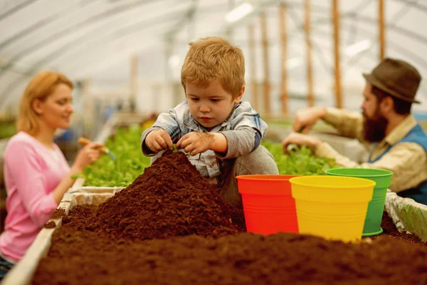 将来の生活。将来の人生の成長します。将来の生活のコンセプトです。少年の小さな農家の将来の生活. — ストック写真