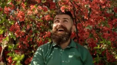 Hipster kırmızı ağacın dalları yakınında yeşil gömlekli. Çiçeklerin yanında gülümseyen yüzünde sakallı ve bıyıklı adam. Arka planda kırmızı ağaç çiçekleri ile şık saç kesimi ile sakallı adam. Uyum kavramı.