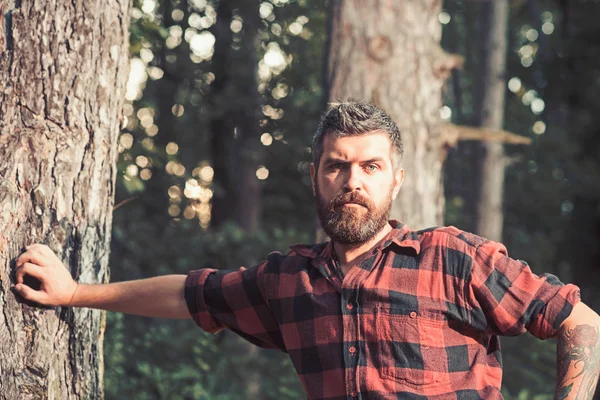 Koncentrovaná muž s vousy a knír pěší v lese. Osamělý cestovatel odpočívá vedle strom, aktivní životní styl a koncept dovolenou — Stock fotografie
