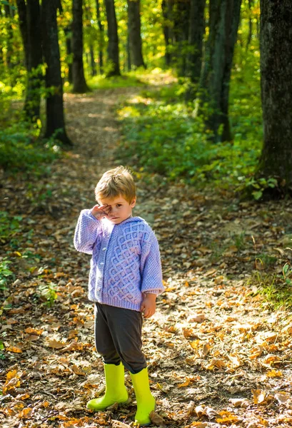 Το αγόρι με τις λαστιχένιες μπότες περπατάει στο δάσος. Χαριτωμένη τουριστική ιδέα. Η δασική σχολή είναι μοντέλο παροχής εξωτερικής εκπαίδευσης στο οποίο οι μαθητές επισκέπτονται φυσικούς χώρους. Χαμένος στο δάσος — Φωτογραφία Αρχείου