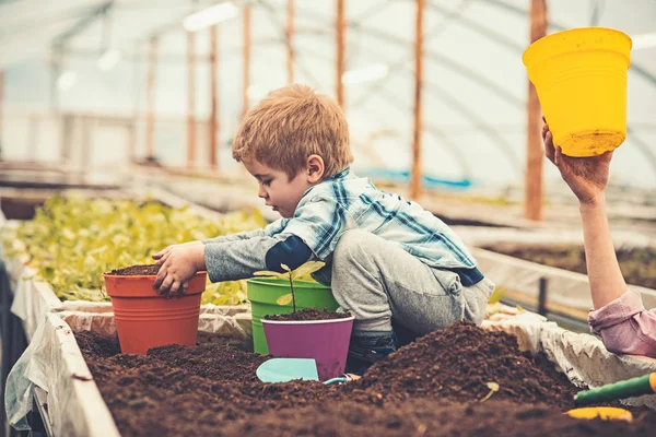 Side view blond kid sitter i lådan med marken och leker med färgglada krukor. Kvinnliga handen håller tom gul kruka — Stockfoto