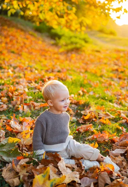 달콤한 어린 시절의 추억. 아이 가을 단풍 배경입니다. 가을의 따뜻한 순간. 유아 소년 푸른 눈은 가을을 즐길 수 있습니다. 화창한 가을 날에 작은 아기 유아. 따뜻함과 아늑함. 행복한 어린 시절 — 스톡 사진