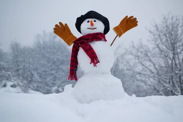 Uomo delle nevi. Pupazzo di neve. Pupazzo di neve isolato su fondo neve. Pupazzo di neve con sciarpa e cappello. Felice divertente pupazzo di neve nella neve . — Foto Stock