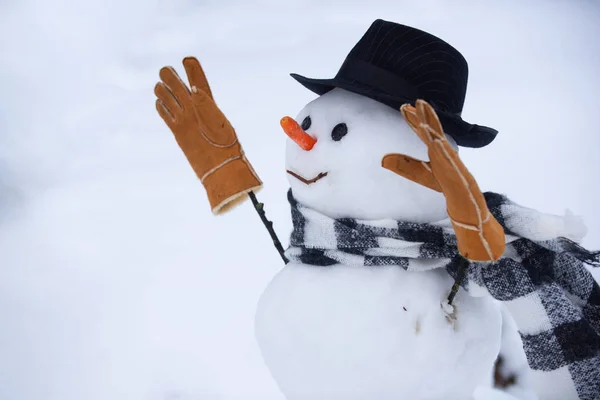 Boneco de neve desejo-lhe Feliz Natal e Boas Festas. Bonitos bonecos de neve de pé no inverno paisagem de Natal . — Fotografia de Stock