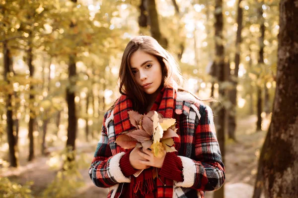 Portret na zewnątrz Wspaniała brunetka model dziewczyna ze słonecznym światłem dziennym. Jesienne drzewo. Koncepcja upadku. Jesienna piękność. Dzieło sztuki romantycznej dziewczyny. — Zdjęcie stockowe