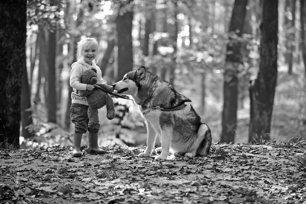 Aktive Erholung und Aktivität der Kinder an der frischen Luft im Freien. Aktive Mädchen spielen mit Hund im Herbstwald — Stockfoto