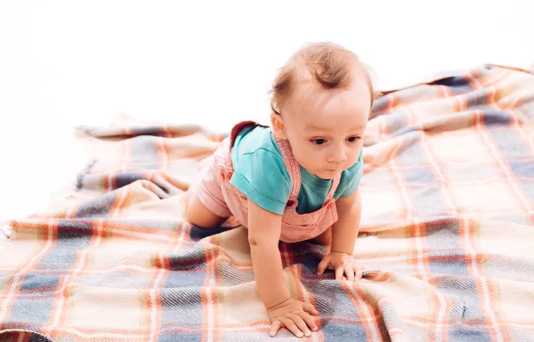 A crawling child. Adorable small baby. Cute baby crawl on floor. Cheerful small kid. Early childhood development. Happy little child. Little boy child. The joy of happy childhood