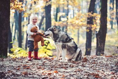 Açık havada aktif dinlenme ve çocuk aktivitesi. Aktif kız sonbahar ormanda köpek ile oynamak