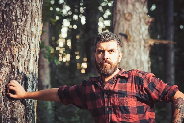 Ağaca yaslanmış acımasız oduncu. Ormanda dolaşan kolunda gül dövmesi olan sakallı adam. Yaz ormanlarında yürüyüş — Stok fotoğraf