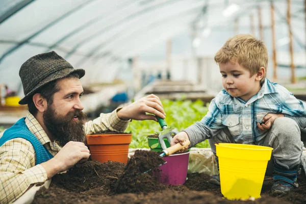 農業活動。温室での父と息子の農業活動。農業活動と環境生態学の概念幸せな家族の農業活動。良い時間を共有する. — ストック写真