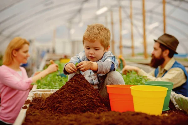 Lilla biolog. lite biolog arbete med jord. lilla biolog i växthus. lilla biologen barnet plantera blommor. — Stockfoto