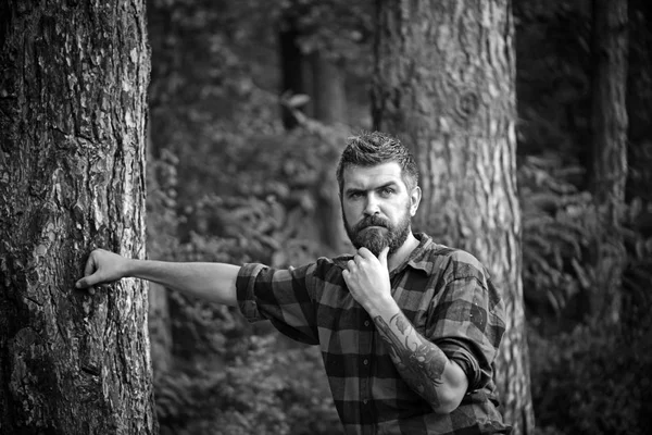 Ragionevole uomo barbuto in camicia taglialegna con tatuaggio sul braccio vagando nella foresta. Escursionista solitario alla scoperta delle meraviglie della natura, concetto ambientale — Foto Stock