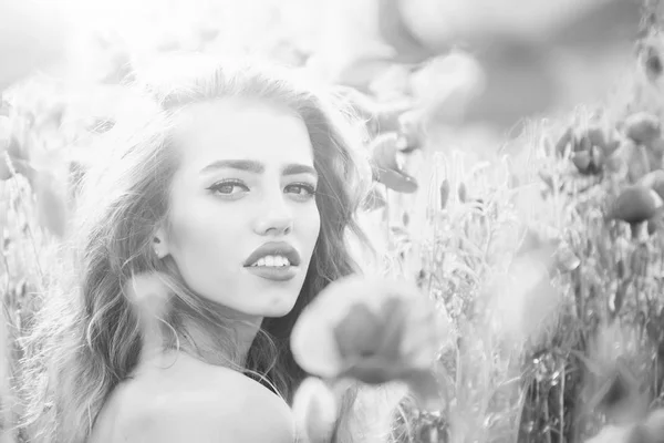 Mulher bonita ou menina no campo da semente de papoula — Fotografia de Stock