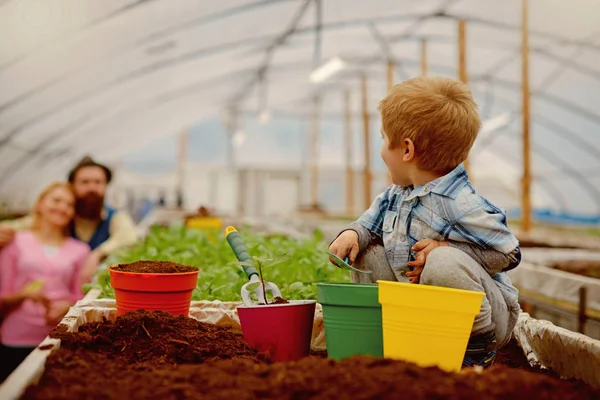 Jardin bricolé. maison jardin bricolage avec enfant et parents. bricolage passe-temps de jardin. jardin bricolé avec une famille heureuse. la nature a besoin de vos soins . — Photo