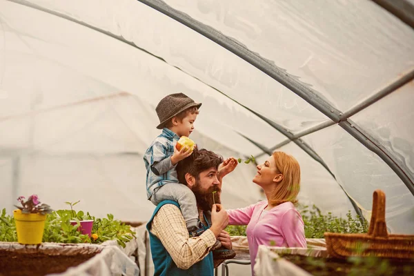 Eco és a világ környezet. boldog család a greenhuse mint szimbólum ökológiai és világ környezet. Eco és a világ környezet fogalmát. Eco világ a jövő élet. zöld környezetben végzett munka. — Stock Fotó