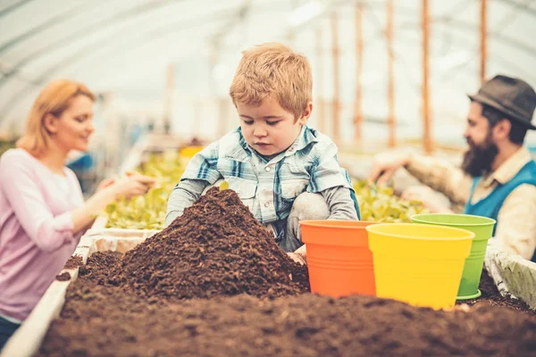 土壌の大きなマウンドの後ろに座って集中している子供。かわいい男の子の温室で彼の両親が働いている間、緑、黄色とオレンジ色の鍋で遊んで — ストック写真