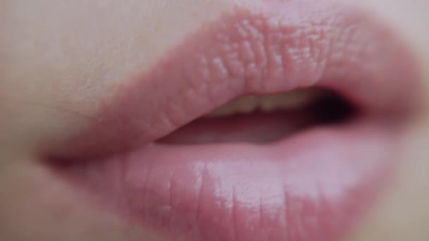 Protección labial y labios helados. Labios naturales para mujer. Abre la boca. Gran variedad de labios sensuales para mujer - super de cerca . — Vídeo de stock