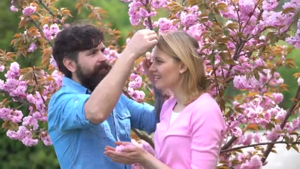 Flores da Primavera. Casal apaixonado abraçando. Desejo e jogos preliminares sensuais. Casal romântico. Feliz casal amoroso. Lindas flores de jardim. Preliminares sensuais por casal apaixonado. Festival de Sakura . — Vídeo de Stock