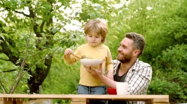 Baba ve oğul kamp. Aile için yiyecek ve içecek. Mutlu bir aile. Dünya günü. Erken çocukluk gelişimi. Babalar günü. Yaz istihkakı. Bebekli ebeveyn - çocuk çiftçi kavramı.
